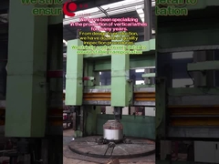 We zijn gespecialiseerd in de productie van verticale draaibanden voor vele jaren